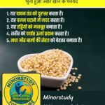 Jowar