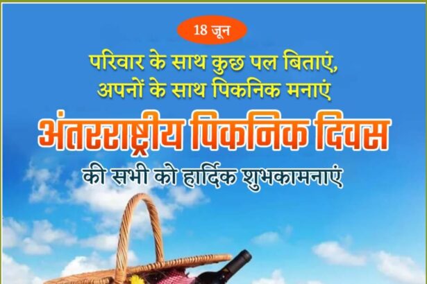 International Picnic Day