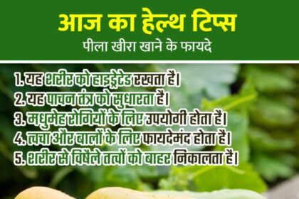 Cucumber