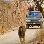 Gir National Park