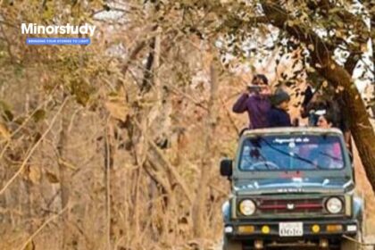 Gir National Park