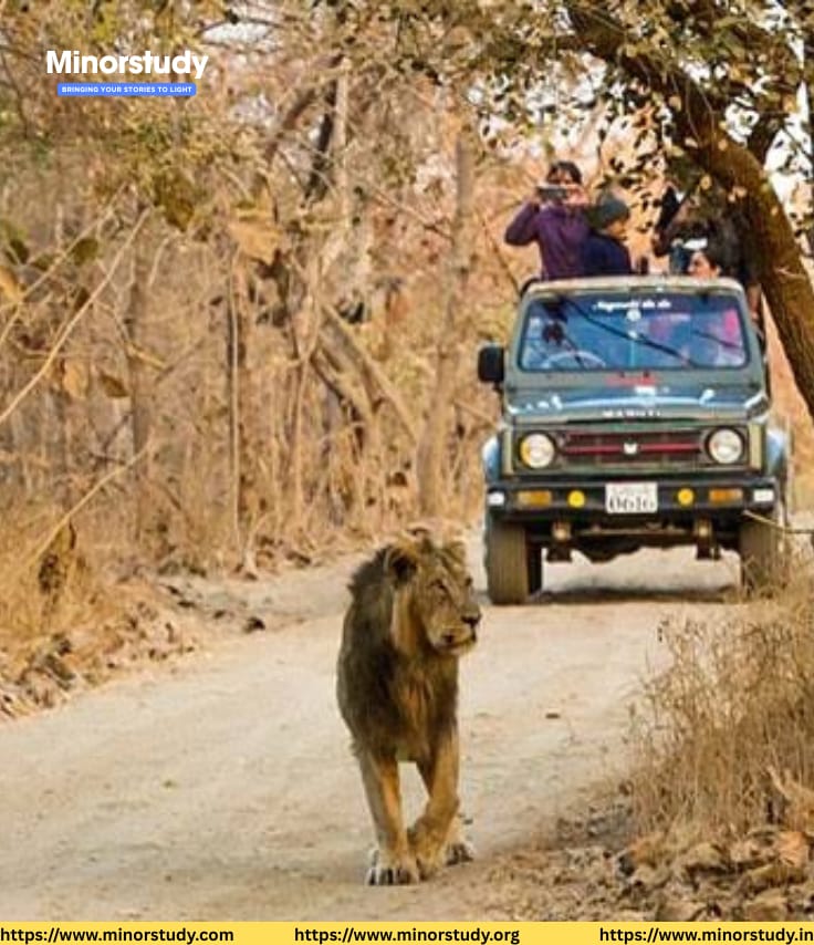 Gir National Park