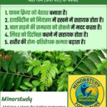 Sweet Neem