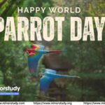 World Parrot Day