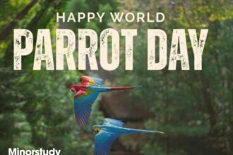 World Parrot Day
