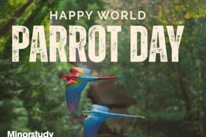 World Parrot Day