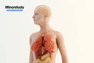 Anatomy