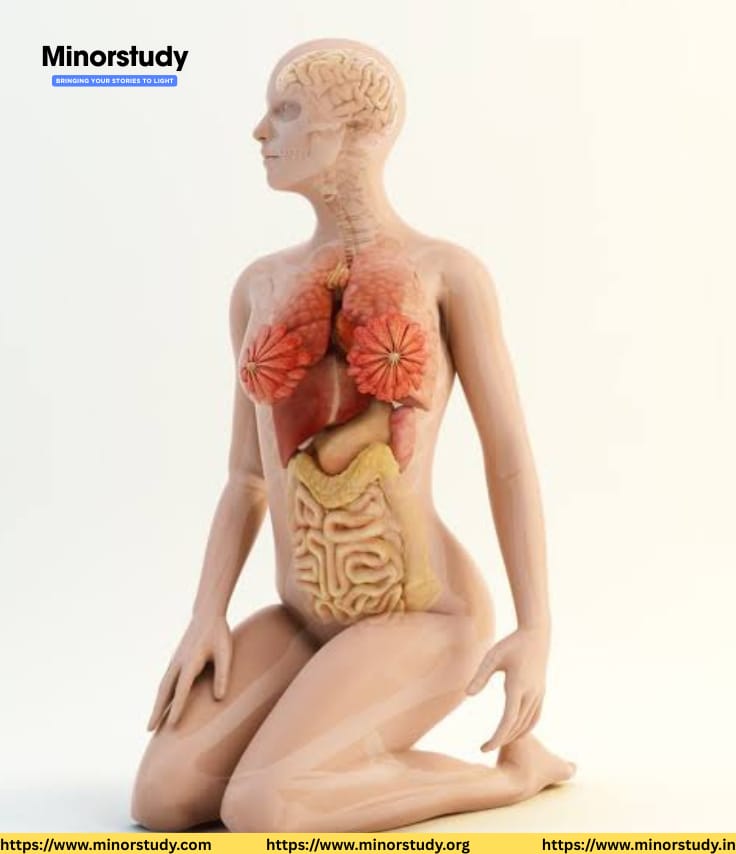 Anatomy