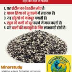 Urad Dal