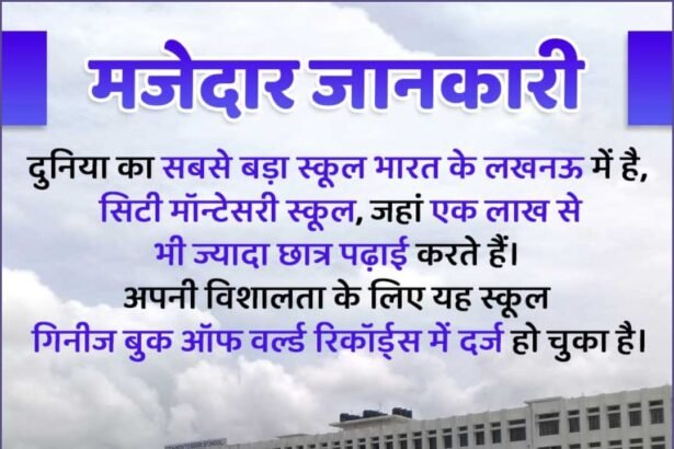 World Largest School