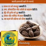 Black Cardamom
