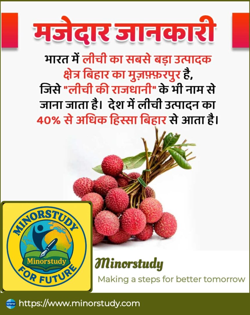 Litchi