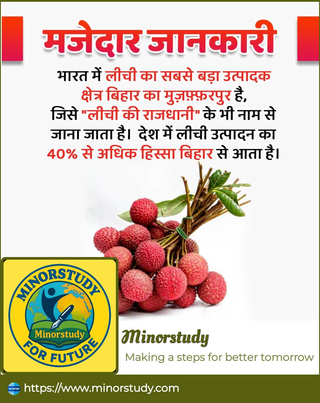 Litchi