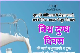World Milk Day