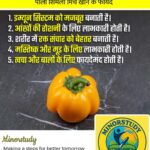Yellow Capsicum