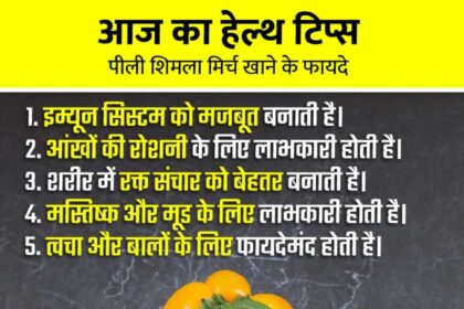 Yellow Capsicum