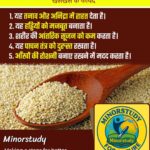 Poppy Seeds