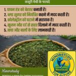 Kasuri Methi