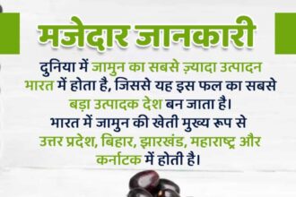 Jamun