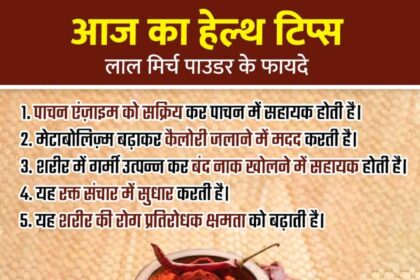 Red Chilli Powder