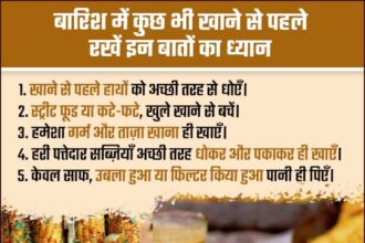 बारिश का मौसम