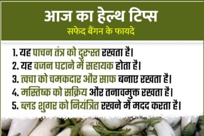 White Brinjal