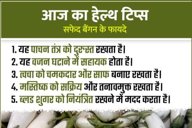 White Brinjal