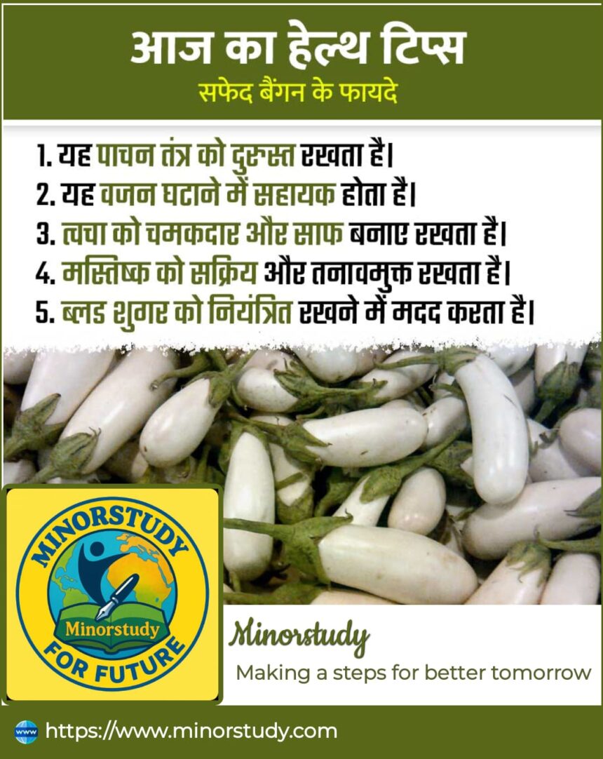 White Brinjal
