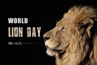 World Lion Day