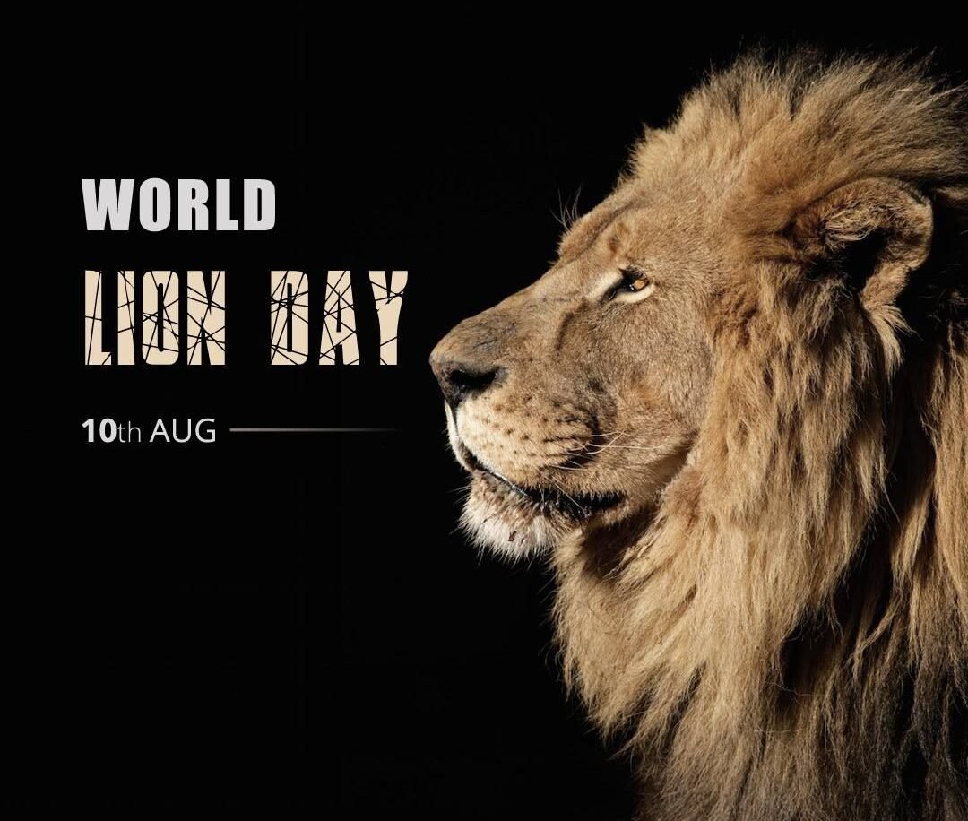World Lion Day
