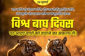 World Tiger Day