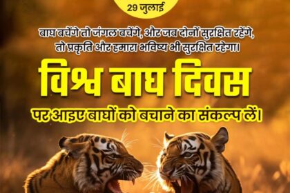 World Tiger Day