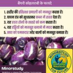 Purple Kohlrabi