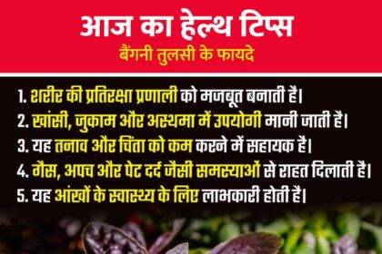 Purple Tulsi