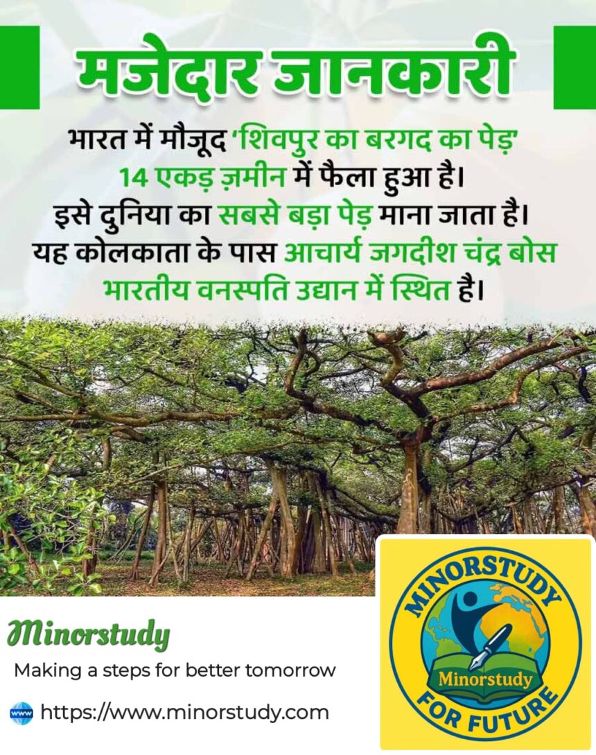 Giant Banyan Tree of Shivpur