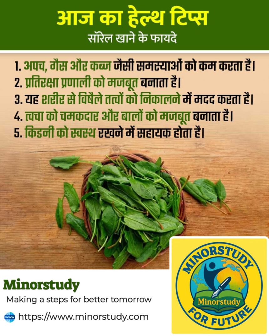 Sorrel