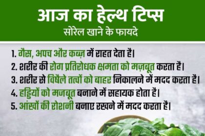 Sorrel
