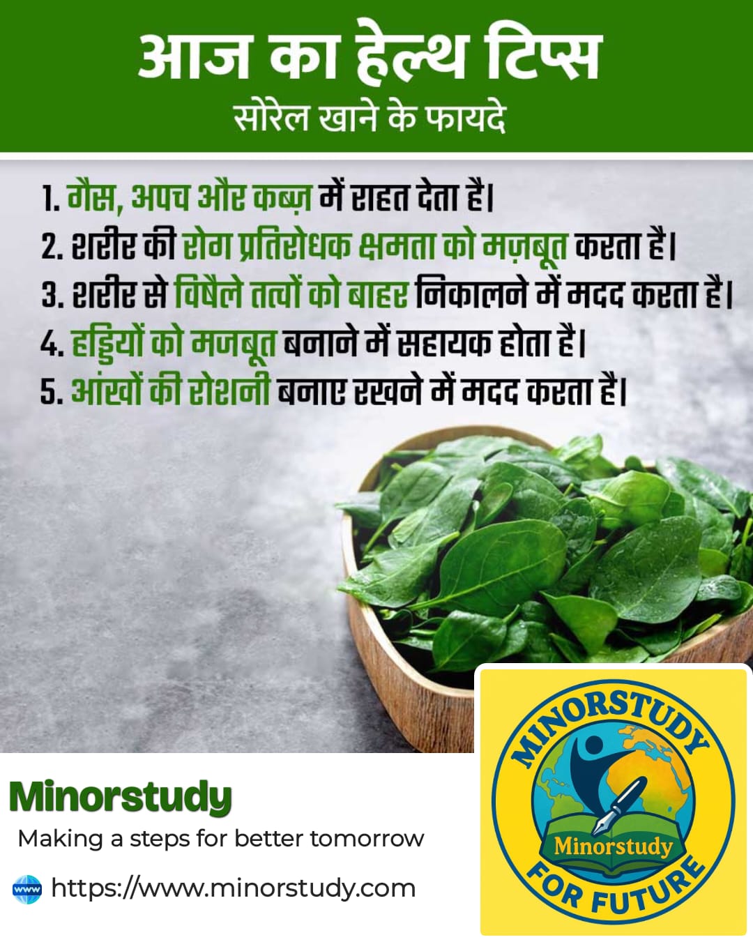 Sorrel