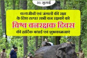 World Forest Guard Day