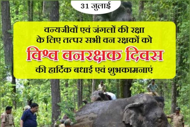 World Forest Guard Day