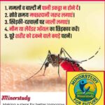 Mosquito