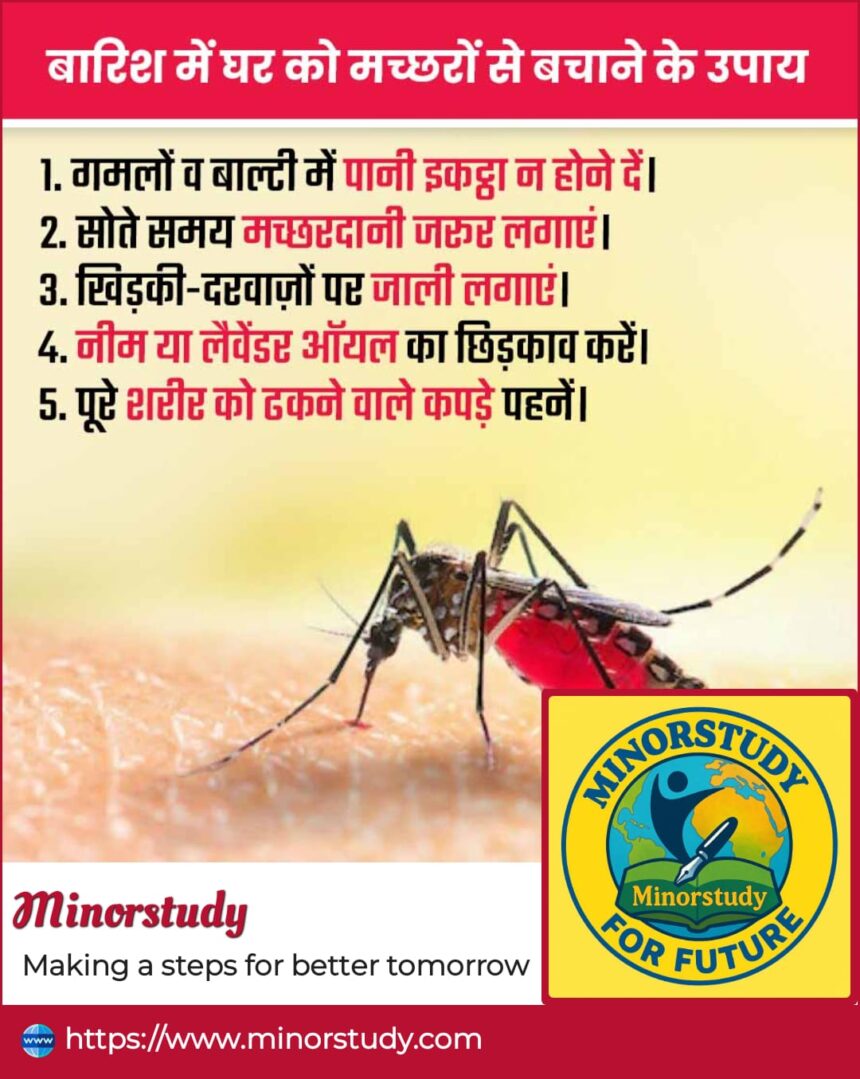 Mosquito