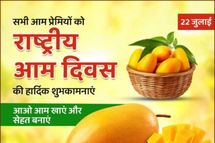 National Mango Day