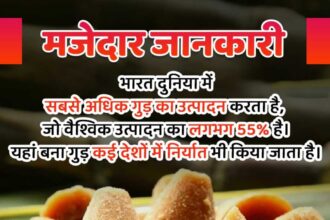 Jaggery