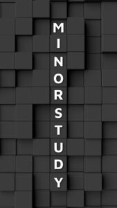 Minorstudy