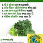 Rapini