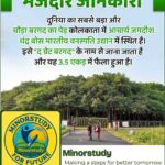 The Great Banyan Tree