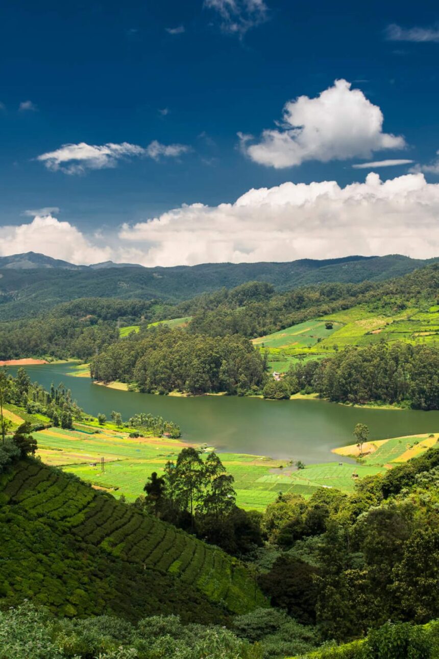 Ooty