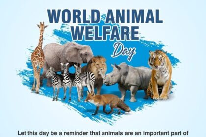 World Animal Welfare Day