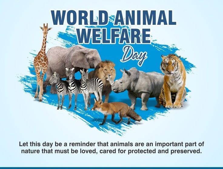 World Animal Welfare Day